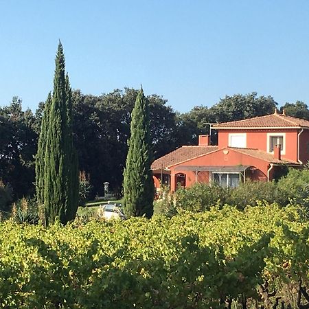 Domaine Des Lavarines Morieres-les-Avignon Buitenkant foto