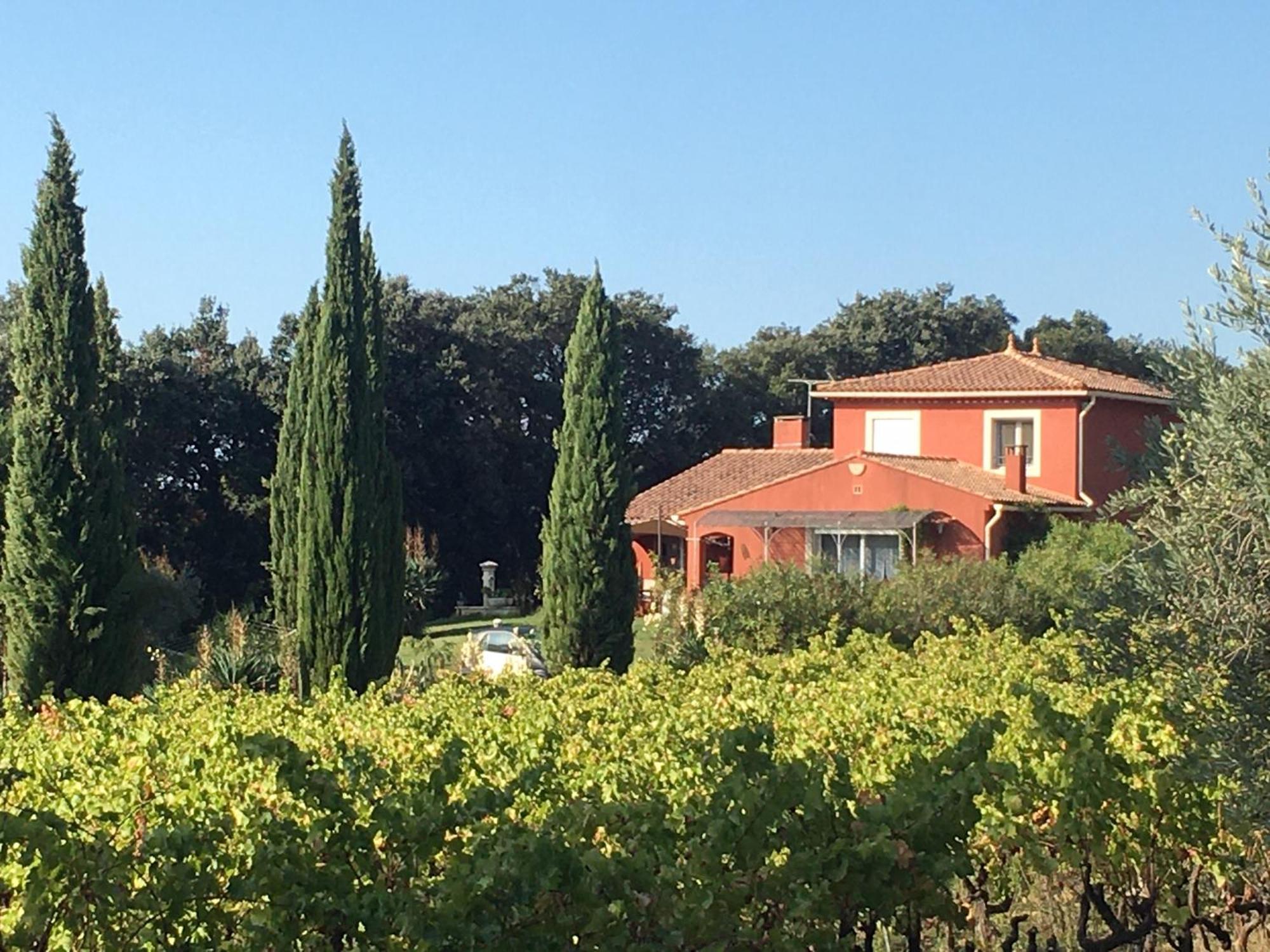Domaine Des Lavarines Morieres-les-Avignon Buitenkant foto